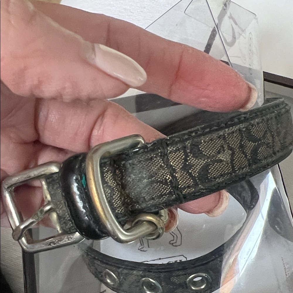 RARE COACH Patterned Dog Collar